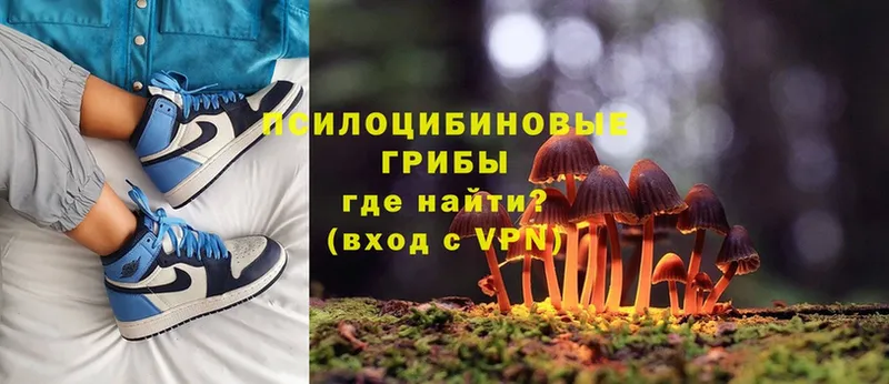 Псилоцибиновые грибы Magic Shrooms  ОМГ ОМГ как войти  Жуковский 